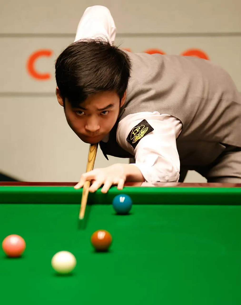 他们致力于 他们致力于