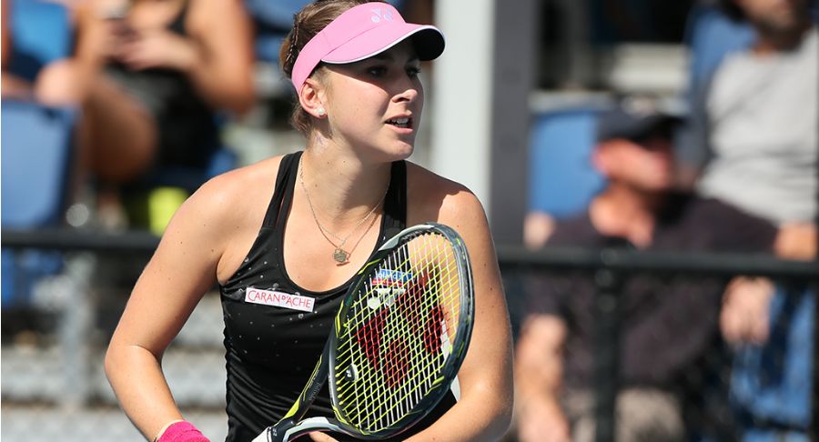 公牛的士气 公牛的士气